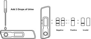 Full Drug Test Instructions Included